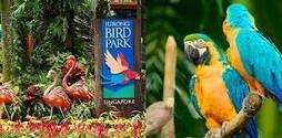 Jurong Bird Park